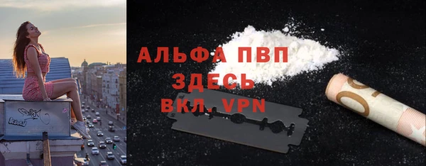 СК Медвежьегорск