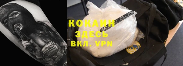 СК Медвежьегорск