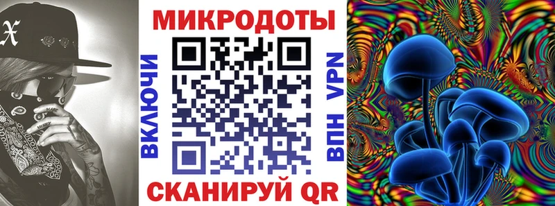Галлюциногенные грибы Psilocybine cubensis Никольское