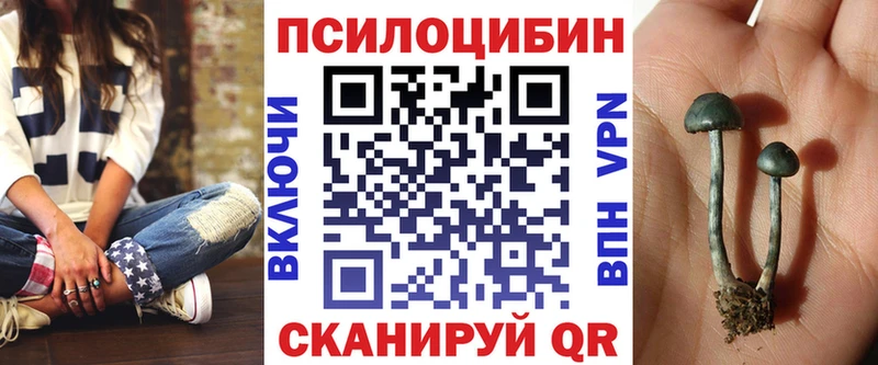 Купить закладки  Никольское  Псилоцибиновые грибы мицелий 